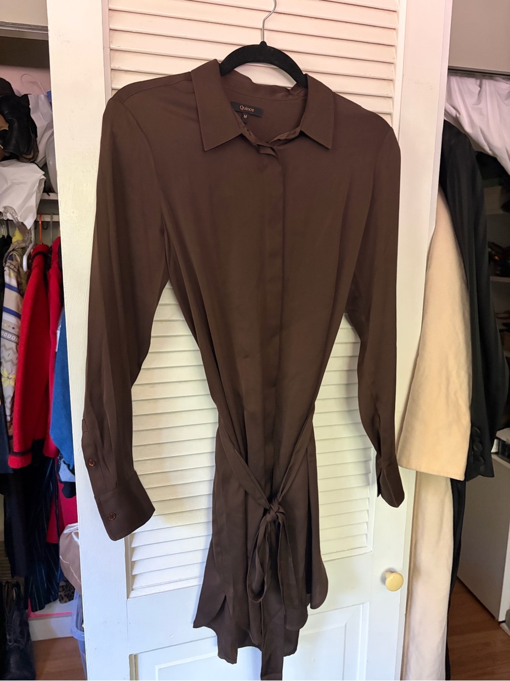 Quince Silk Long Sleeve Tie-Waist Shirt Dress in Brown